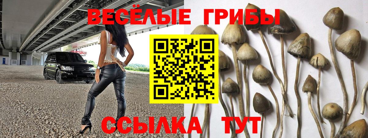Коммунар  Галлюциногенные грибы ЛСД  Вход с VPN  Псилоцибиновые грибы MAGIC MUSHROOMS 